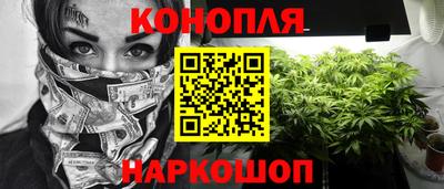 дмт Дубна