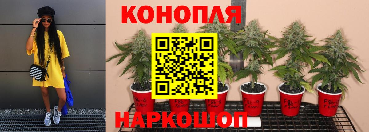 МАРИХУАНА AK-47  Шишки марихуана THC 21%  Бошки марихуана семена  Карачаевск  Вход с VPN 